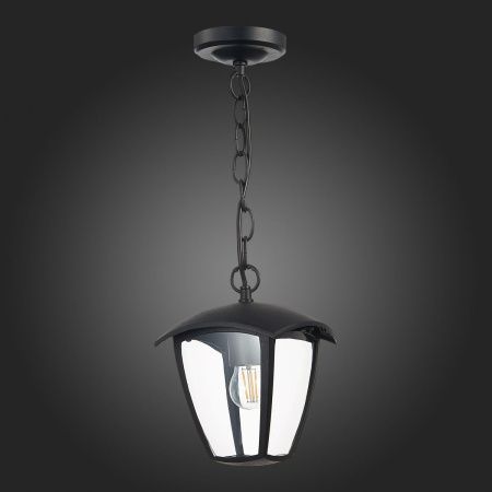 Уличный подвесной светильник ST Luce Sivino (Сивино) SL081.403.01