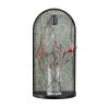 Светильник настенный Odeon Light Giardino (Гиардино) 7176/3WL