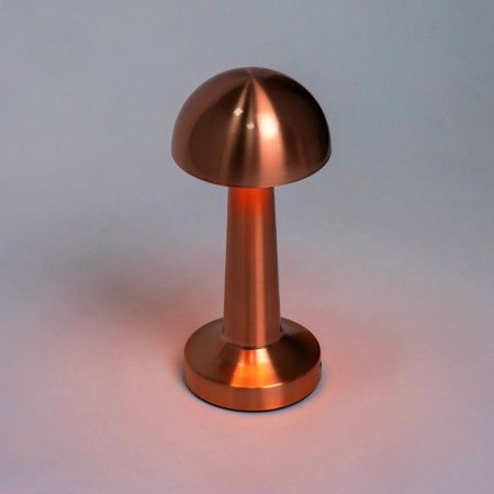 Настольная лампа Escada Evo (Ево) 10257/L LED