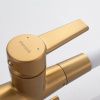 Смеситель для кухни Shevanik S668G на мойку золото/бежевый