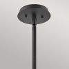 Светильник подвесной Hinkley Lotus (Лотус) QN-LOTUS-P-BLK