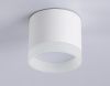 Светильник накладной Ambrella Light Acrylic Frost (Ацрылиц Фрост) TN5365