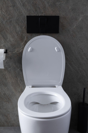 Унитаз приставной Allen Brau Fantasy 4.11007.20 белый с сиденьем микролифт безободковый каскадный смыв