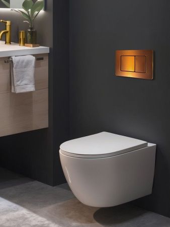 Клавиша смыва механическая AltroBagno Beni aggiuntivi AltroBagnoPFP003FQ цвет розовый