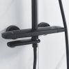Душевая стойка Rose R3936H настенная цвет черный