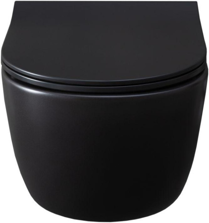 Чаша унитаза подвесная Allen Brau Priority 4.31001.31 цвет черный матовый без сиденья безободковая каскадный смыв