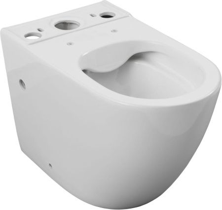 Чаша унитаза напольная Aquanet Cetus Cetus 2.0 C1 цвет белый без бачка с сиденьем микролифт безободковая каскадный смыв