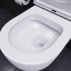 Унитаз подвесной Damixa Sirius DX86C1700SC белый с сиденьем микролифт безободковый каскадный смыв