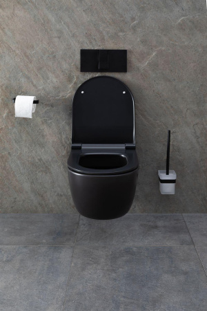 Чаша унитаза подвесная Allen Brau Priority 4.31001.31 цвет черный матовый без сиденья безободковая каскадный смыв