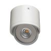 Светильник потолочный Arte Lamp Studio (Студио) A4105PL-1WH