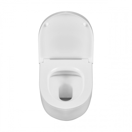 Комплект унитаз с инталляцией и клавишей смыва Roca Meridian 7893104990