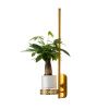 Светильник настенный Favourite Greenery (Греенеры) 4050-1W