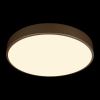 Светильник потолочный Loft It Flims 10228/A