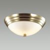 Настенно-потолочный светильник Lumion Vintage (Винтаге) 5262/2C