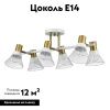 Люстра потолочная Lumion Anriya (Анриыа) 8045/6C