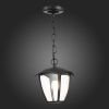 Уличный подвесной светильник ST Luce Sivino (Сивино) SL081.403.01