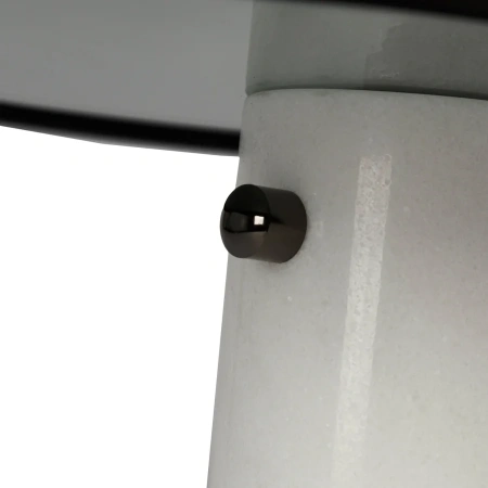 Настольная лампа Cosmo Boletus CT0019