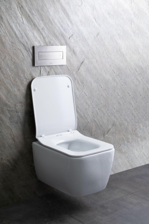 Чаша унитаза подвесная Allen Brau Liberty 4.33007.20 цвет белый без сиденья безободковая каскадный смыв