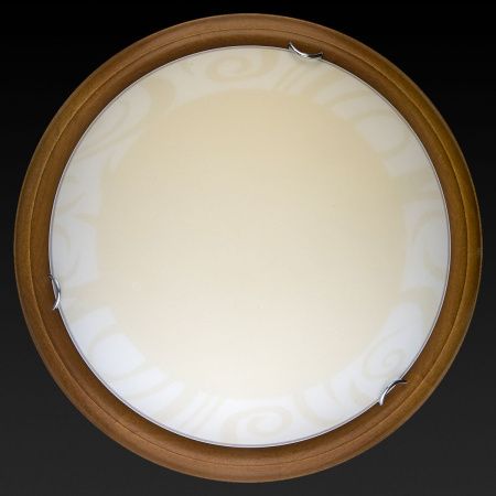 Светильник накладной Toplight Ginger (Гингер) TL9620Y-00OA