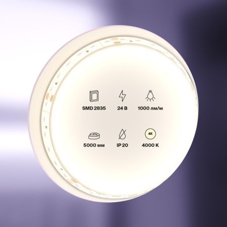 Светодиодная лента Maytoni Led Strip 10143