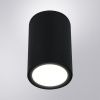 Уличный потолочный светильник Arte Lamp Torcular (Торцулар) A1307PF-1BK