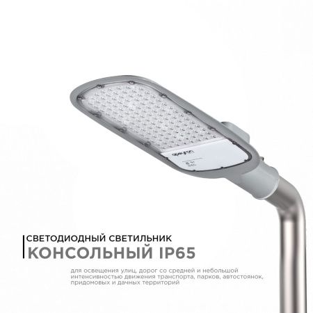 Уличный консольный светильник Apeyron 46110