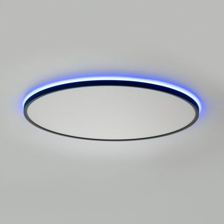 Светильник потолочный Citilux Norma (Норма) CL749601