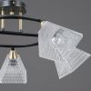 Люстра потолочная Illumico IL0850-5CSQ-25BKAB ELITE