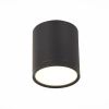 Светильник потолочный ST Luce Rene (Рене) ST113.442.05