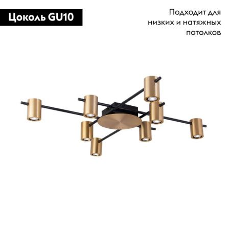 Люстра потолочная Aployt Elwisia (Елвисиа) APL.633.07.08