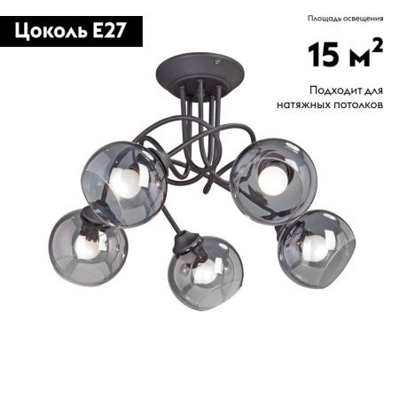 Люстра потолочная Vitaluce V4309-1 V4309-1/5PL