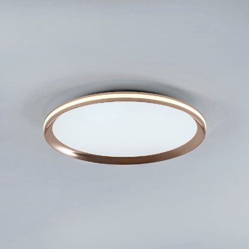 Светильник потолочный LED4U L3020-400 GD - фото 4
