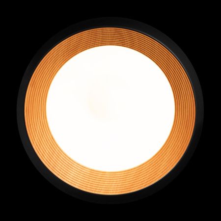 Светильник потолочный Loft It Folk 10255/500 Black