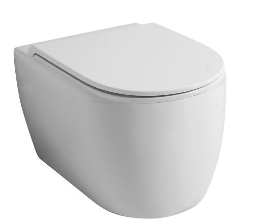 Унитаз Disegno Ceramica Skip SK005SET01 подвесной