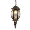 Уличный подвесной светильник Arte Lamp Atlanta (Атланта) A1045SO-1BN