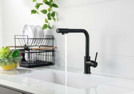 Смеситель для кухни Aquatek ЕВРОПА AQ1386MB на мойку черный