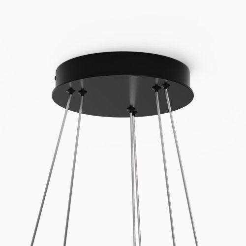 Светильник подвесной Maytoni Rim Modern MOD058PL-L74BK - фото 5