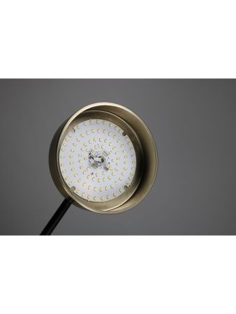 Люстра на штанге Zortes Lunar (Лунар) ZRS.01243.08