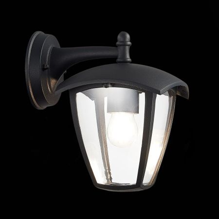 Уличный настенный светильник ST Luce Sivino (Сивино) SL081.411.01