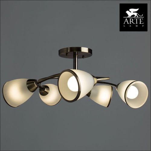Люстра потолочная Arte Lamp Innocente (Инноценте) A6056PL-5AB - фото 3