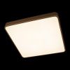 Светильник потолочный Loft It Flims 10228/D
