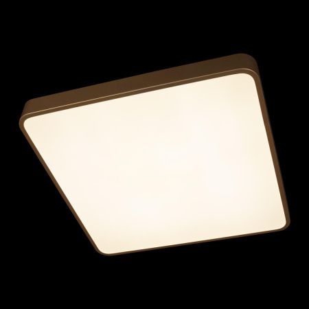 Светильник потолочный Loft It Flims 10228/D