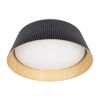 Светильник потолочный Loft It Evans 10224 Black