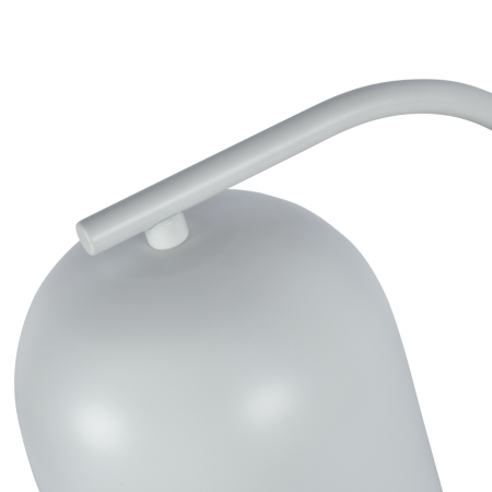 Настольная лампа Zortes DeskLight (ДескЛигхт) ZRS.1066.02