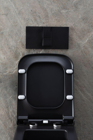 Чаша унитаза подвесная Allen Brau Infinity 4.21011.31 цвет черный матовый без сиденья безободковая каскадный смыв