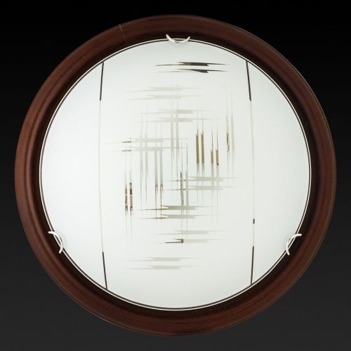 Светильник настенный Toplight Zier (Зиер) TL9153Y-02PO - фото 3