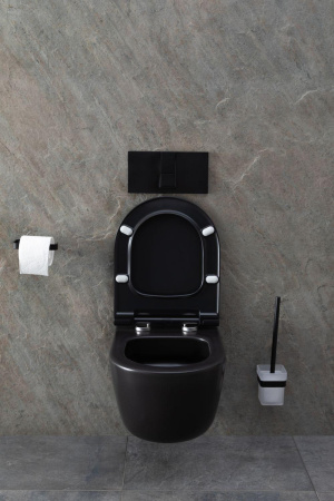 Чаша унитаза подвесная Allen Brau Priority 4.31002.31 цвет черный матовый без сиденья безободковая каскадный смыв