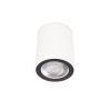 Светильник накладной Loft It Rush 10344 White