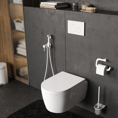 Инсталляция для унитаза WasserKRAFT Glan 66TLT.010.ME.BL.WM02 - фото 4