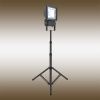 Прожектор светодиодный Globo Projecteur (Проджецтеур) 34117AS